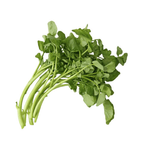 Upland Cress